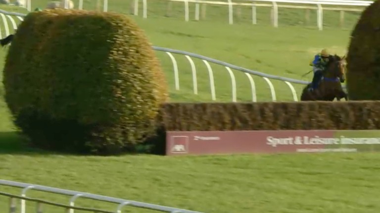 Suddenly, Crack Du Ninian is the only one of the trio to jump the fence
