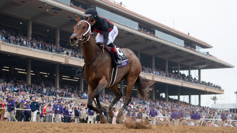 Echo Zulu is victorious at the Breeders' Cup