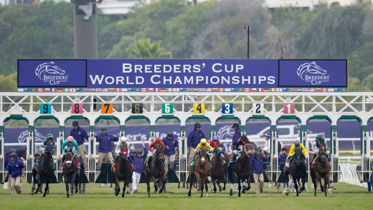 Breeders' Cup: "an amazing experience" for ITV Racing anchor Ed Chamberlin