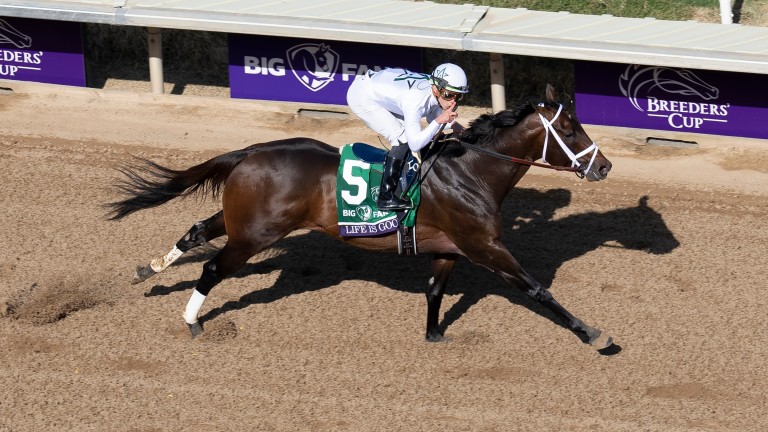 Life Is Good: Breeders' Cup Dirt Mile winner reported in fine form