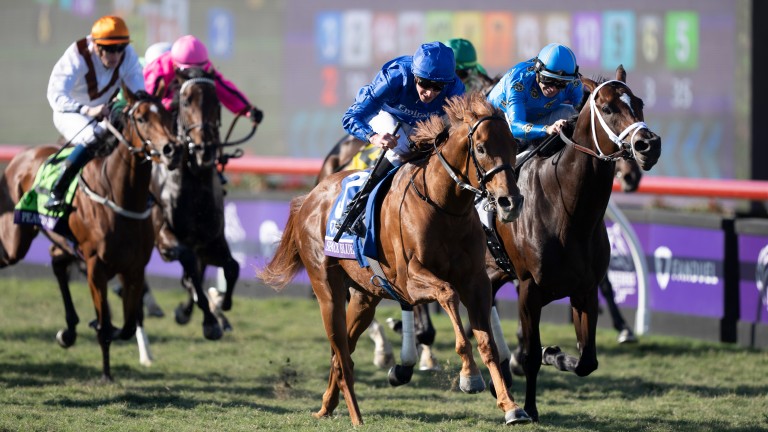 Space Blues są nie z tego świata na Breeders’ Cup Mile po kolejnych dramatach na stoiskach |  wiadomości o wyścigach konnych