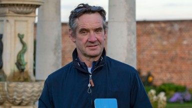 Tattersalls October Yearling Sale Book 315/10/21