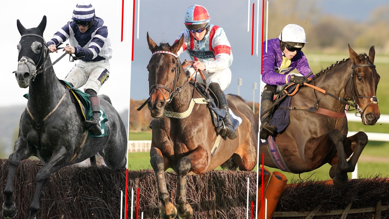 2021 Paddy Power Gold Cup Why This Horse Can Win Saturday S Big Race Horse Racing News Racing Post