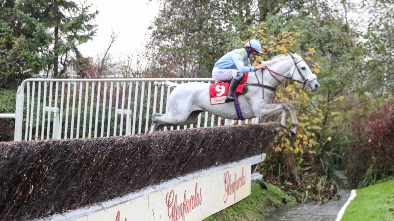 Diesel D'Allier and Charlie Deutsch wing the water jump on the way to winning this race at Cheltenham in 2019