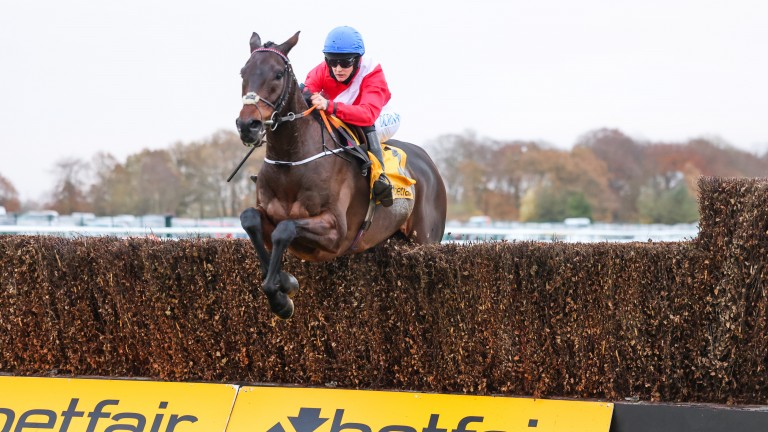 A Plus Tard jumps the final fence on the way to a devastating win in the Betfair Chase