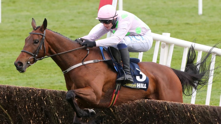 Chacun Pour Soi: leads the market for the Betfair Tingle Creek Chase