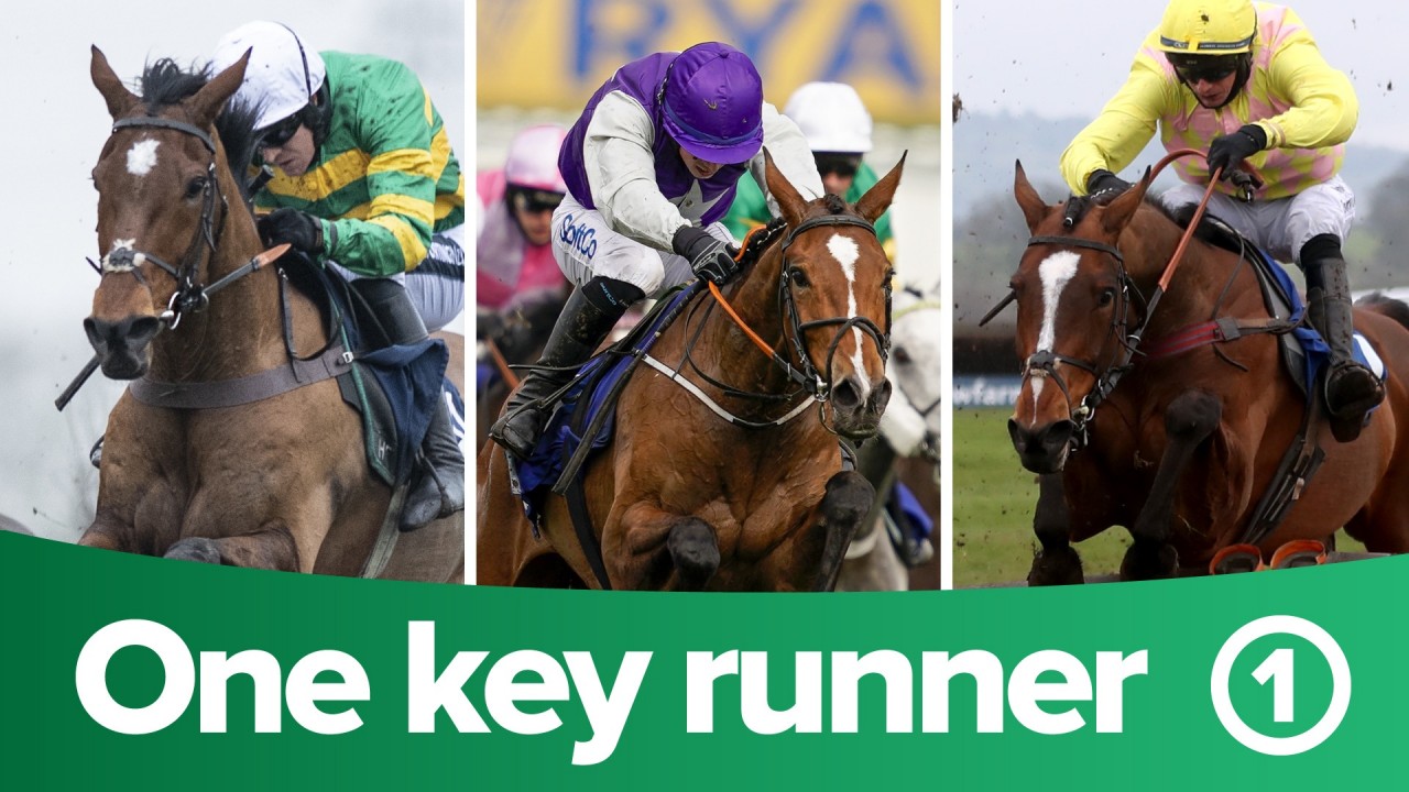 itv racing tips one key runner from each of the five races on itv3 on friday horse racing news racing post itv racing tips one key runner from each of the five races on itv3 on friday horse racing news racing post