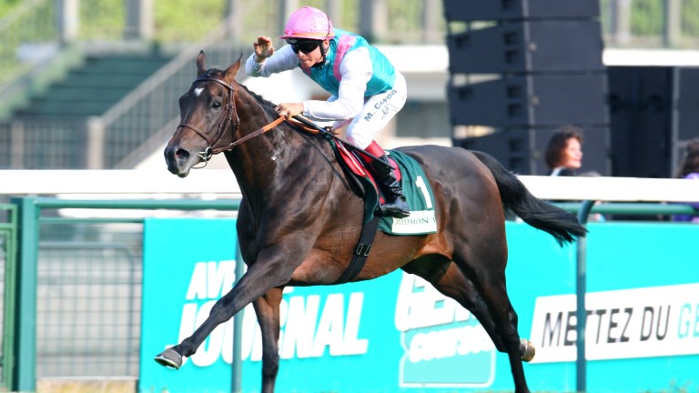 Flintshire: Juddmonte homebred son of Dansili and top-class performer