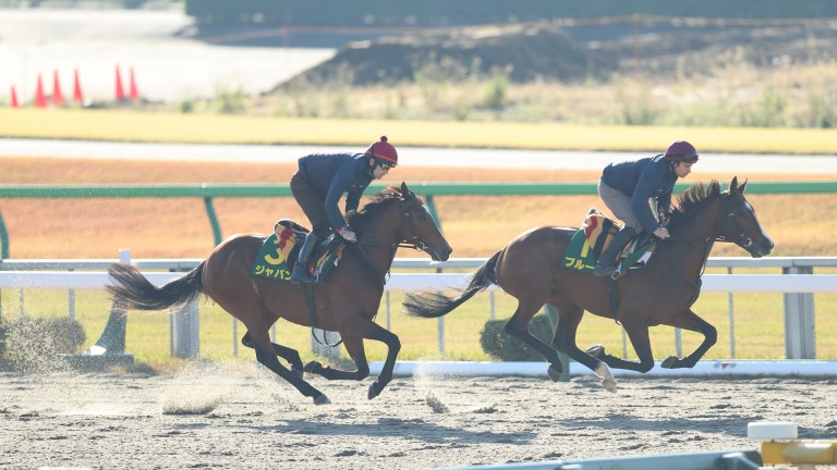 Japan (left) and Broome limber up for the Tokyo showpiece on Sunday