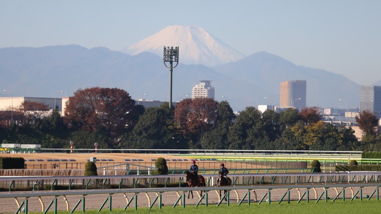 Japan and Broome training in the shadow of Mount Fuji on Friday