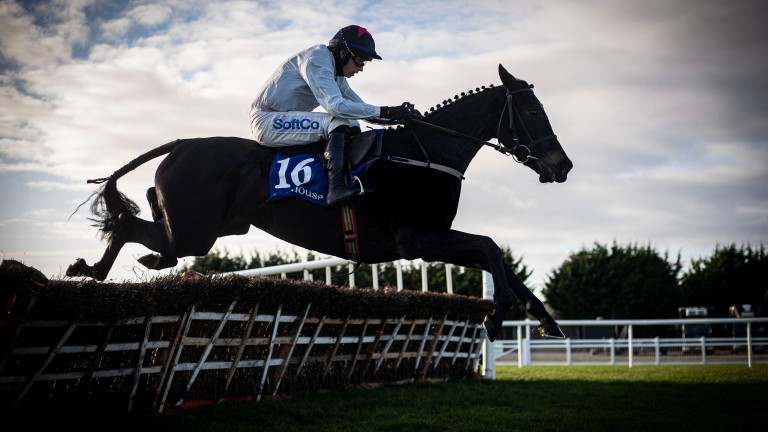 Grangee: now a leading contender for the Mares' Novices' Hurdle at Cheltenham