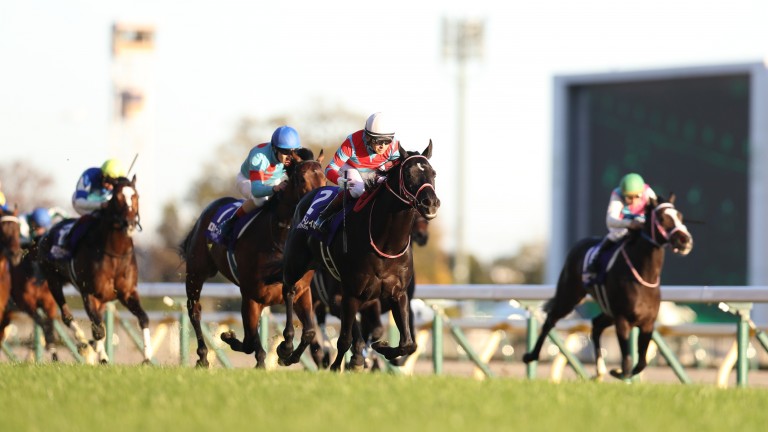 Contrail (centre) charges home under Yuichi Fukunaga to win the Japan Cup at Tokyo on Sunday