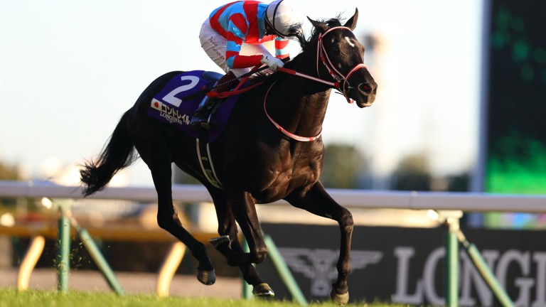 Yuichi Fukunaga and Contrail come home ahead in the Japan Cup