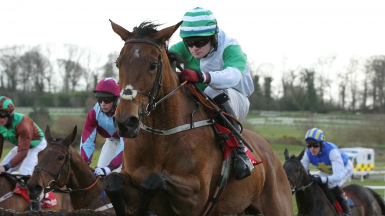 Rockonsoph's dam Fromthecloudsabove in action at Wexford in 2014