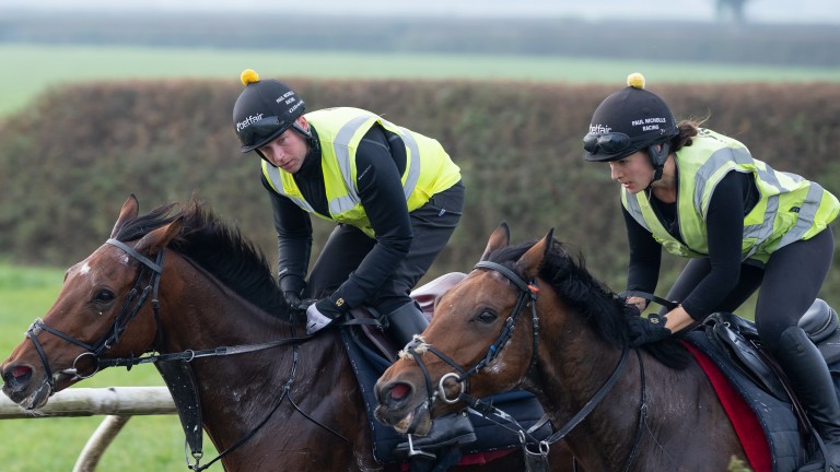 Brave Kingdom (near) working with Master Tommytucker at Paul Nicholls' Ditcheat base