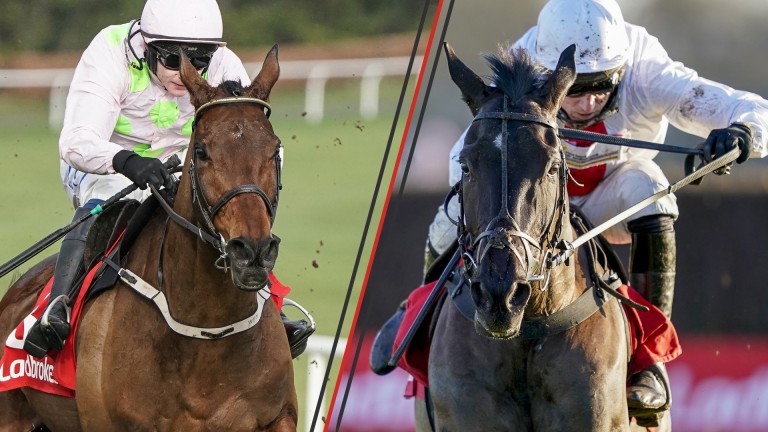 Chacun Pour Soi (left) and Nube Negra: market leaders for Saturday's Tingle Creek Chase