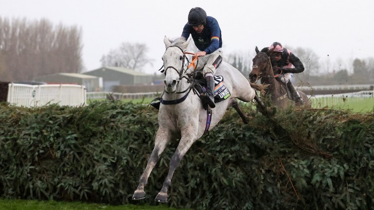 Snow Leopardess and Aidan Coleman soar over the final fence on their way to Becher Chase glory