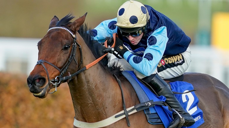 Edwardstone: stayed on strongly to win at Sandown