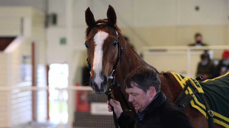 Celtic Art in the ring at Ascot, where he topped proceedings at £39,000