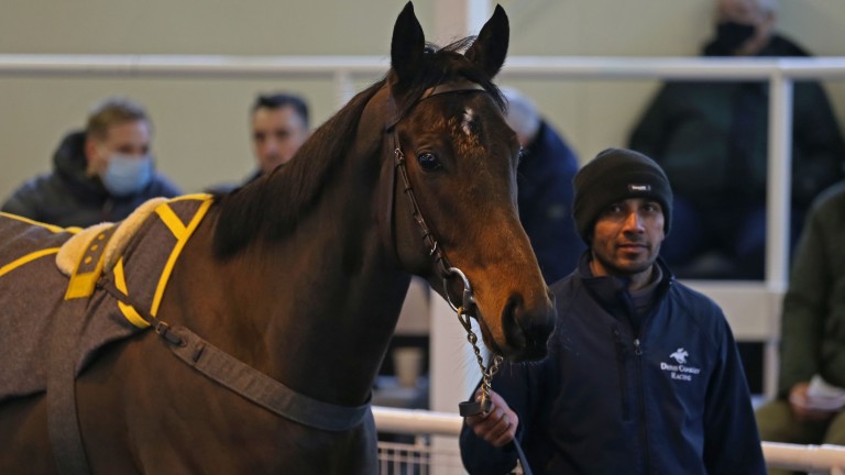 Caribou was the first to grab a headline at Ascot on Monday when selling to Ric Riccio at £20,000