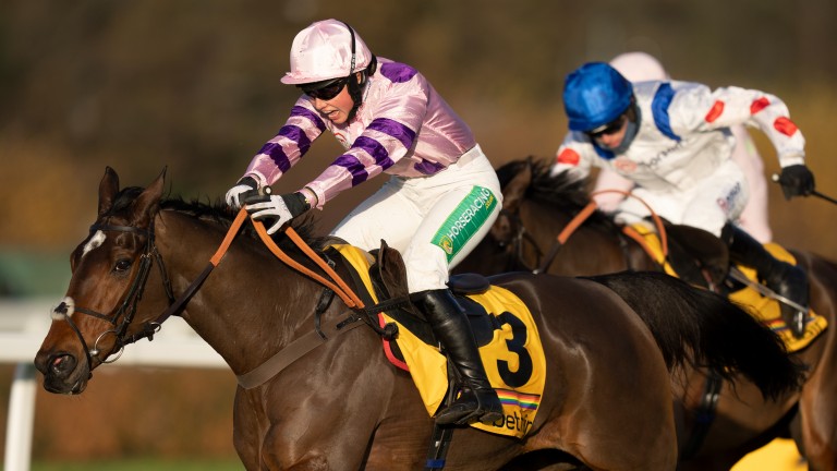 Greaneteen: last year's winner defends his crown in a thrilling looking Tingle Creek line-up