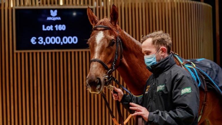 Rougir: the Group 1 winner sells for a record-breaking €3,000,000