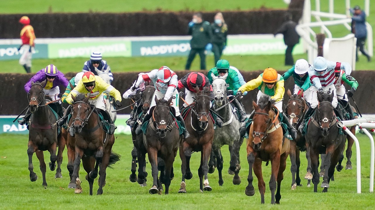 2021 Racing Post Gold Cup The Runners The Odds The Verdict Horse Racing News Racing Post