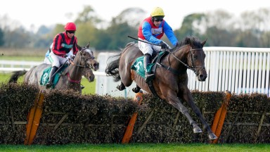 WARWICK, ENGLAND - NOVEMBER 05: Harry Skelton riding In This World clear the last to win The Jewson Leamington, Rugby Road Juvenile Hurdle at Warwick Racecourse on November 05, 2021 in Warwick, England. (Photo by Alan Crowhurst/Getty Images)