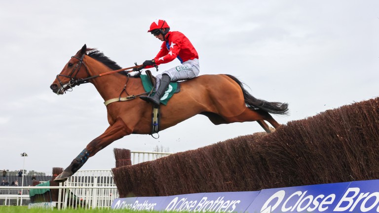 Editeur Du Gite : Le smart chaser travaille aux couleurs du Sire De Grugy