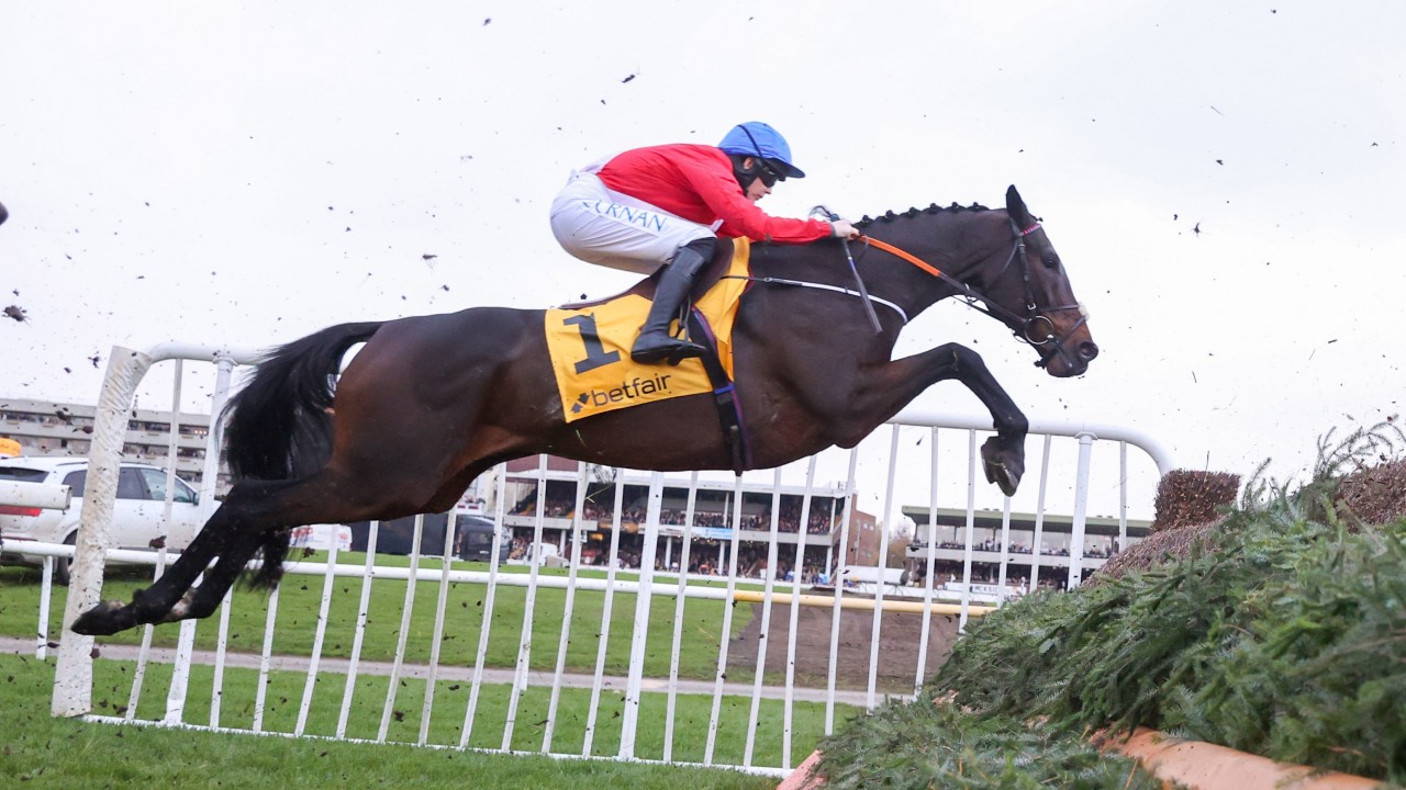 What's on this week: all eyes on A Plus Tard before Cheltenham caps busy  spell | Horse Racing News | Racing Post