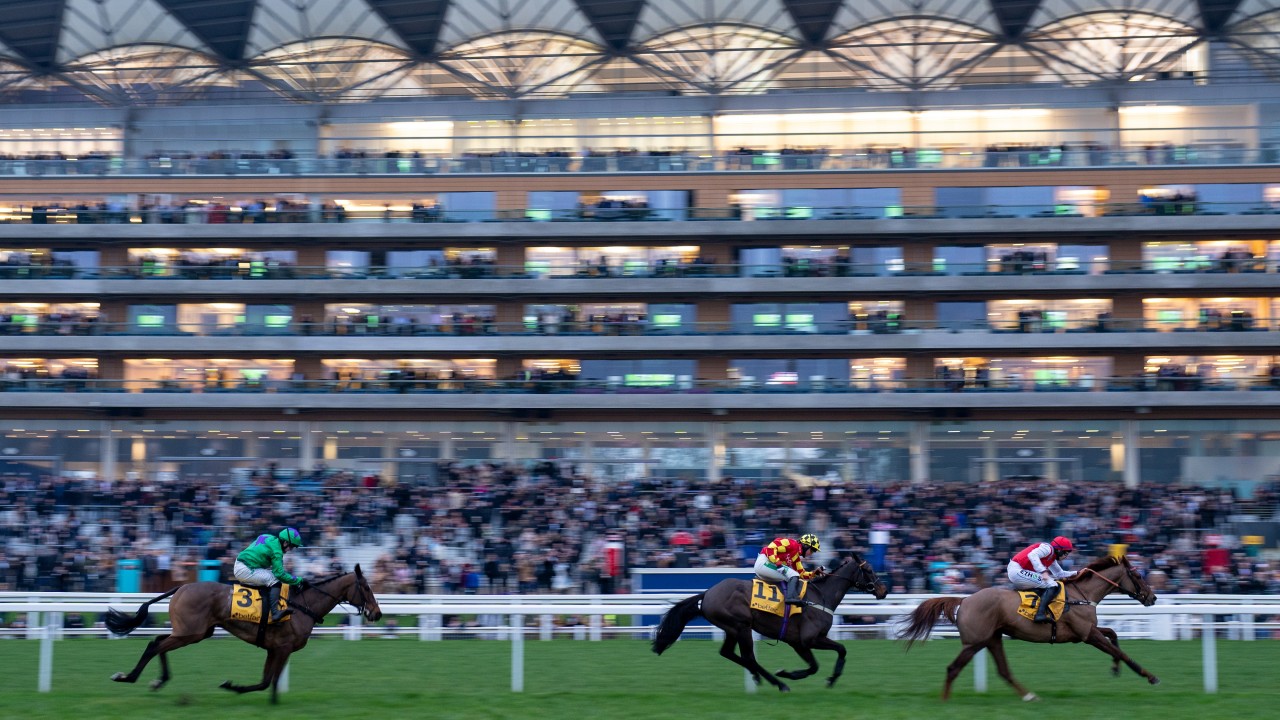 It Still Hasn T Sunk In Yet Joy For Pricewise Punter As He Lands 60 993 Horse Racing News Racing Post