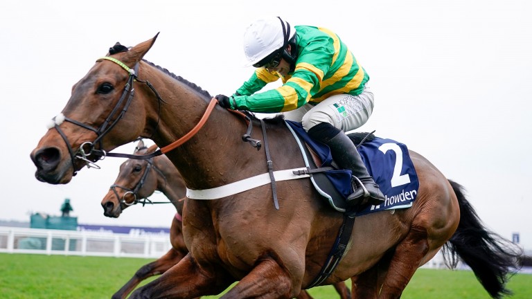 Champ: entered in the Stayers' Hurdle but could still run in the Gold Cup
