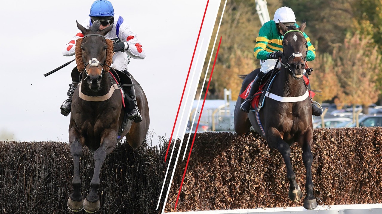 King george horse race betting payouts cryptocurrency comparison