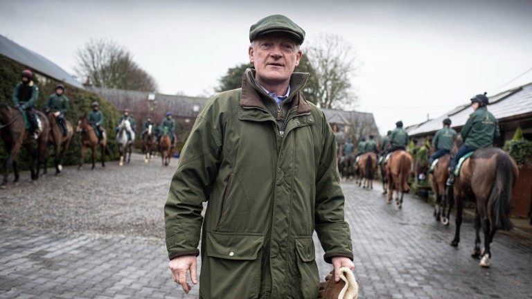Willie Mullins : « Nous pourrions avoir un cheval très spécial entre nos mains » |  l’actualité hippique