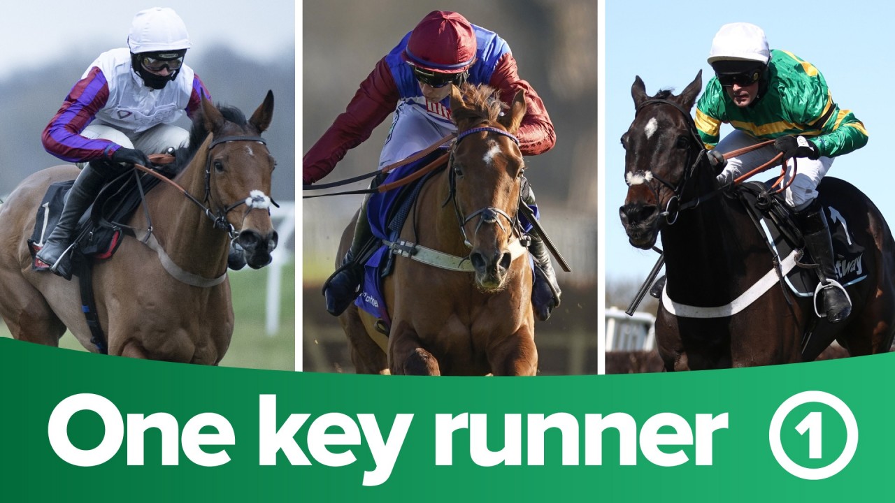 itv 7 tips