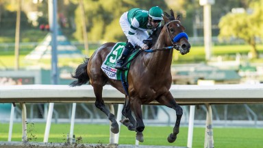 Flightline saunters to victory in the Malibu Stakes at Santa Anita