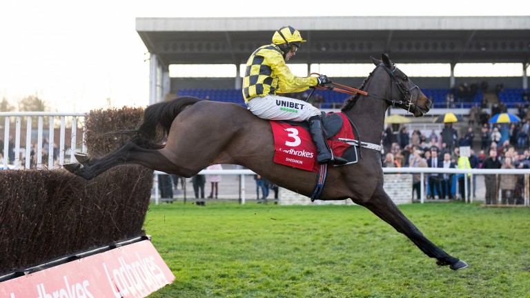 Shishkin: made a successful return in the Desert Orchid Chase at Kempton at Christmas
