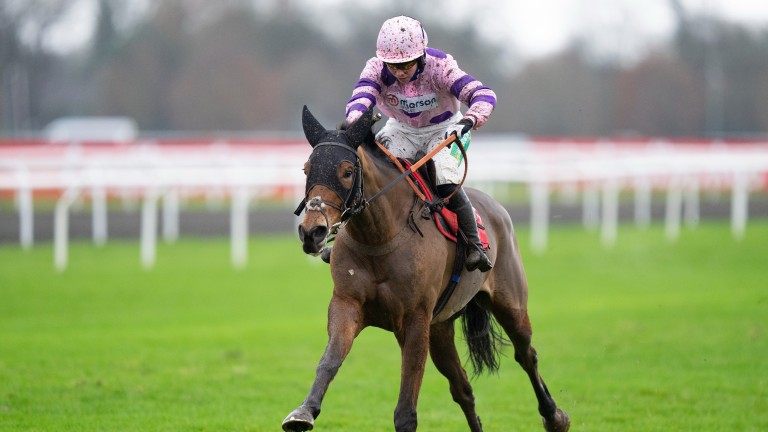Iceo was an easy winner at Kempton last month and runs at Cheltenham on Saturday
