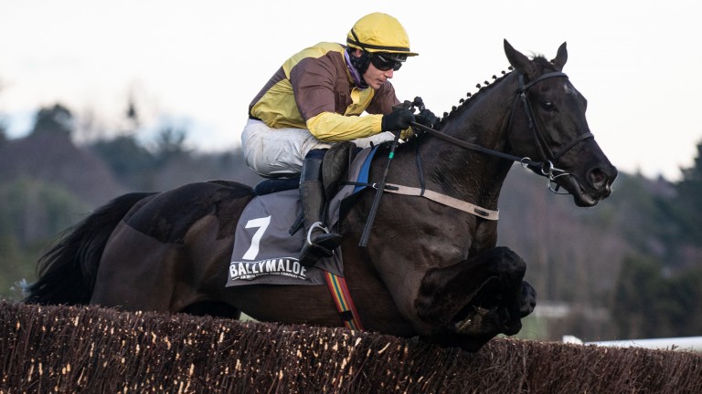 Galopin Des Champs: on course for the Brown Advisory Novices' Chase