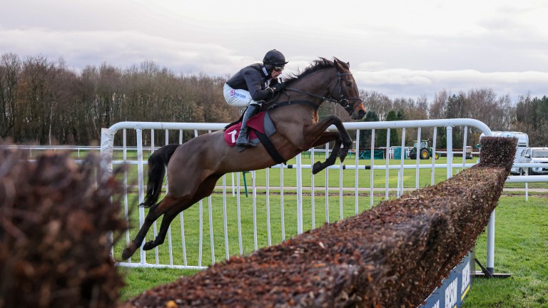 Blaklion: He won't want the soil to dry out too much