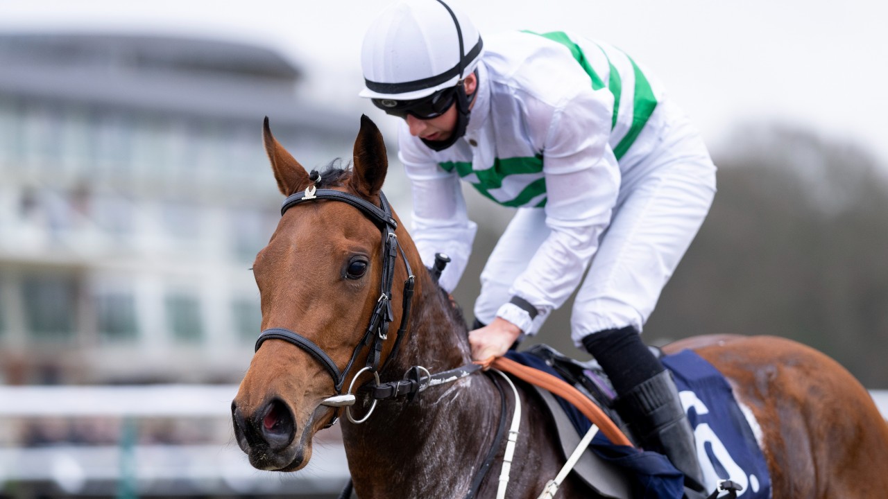 It S Not Something Too Significant Mark Johnston On Last Runner In His Name Horse Racing News Racing Post