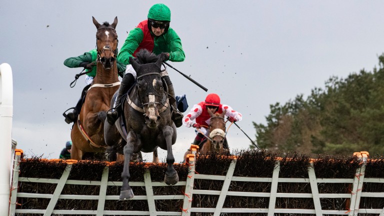 Colonel Mustard (right, red cap): good performance at the Punchestown festival last year