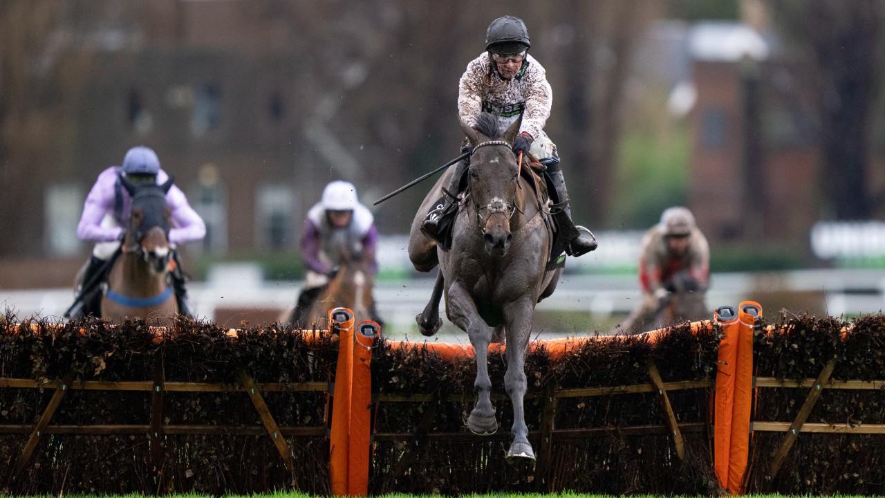 'He'll sneak in off a nice weight' Betfair plan for Constitution Hill