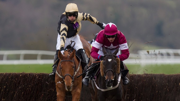 Tofino Bay and Nina Carberry (maroon) are well clear of Back In Focus and Patrick Mullins