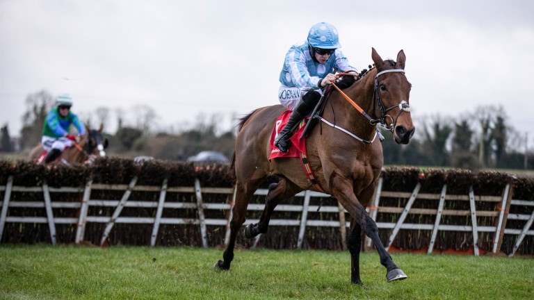 Honeysuckle: Set to bid for a fourth Hatton's Grace Hurdle
