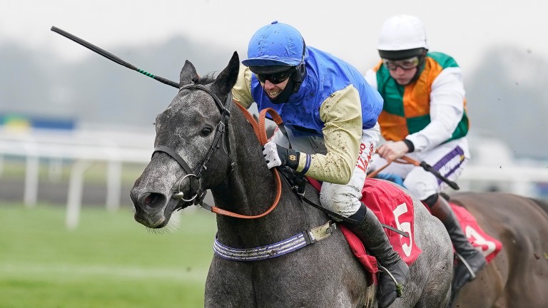 Silver Shade: another possible festival contender for Milton Harris