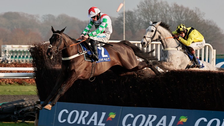 Mister Fisher: winner of the Silviniaco Conti Chase
