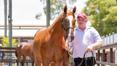 The Deep Field colt out of Brookton Flash tops Book 2 of the Magic Millions Gold Coast Yearling Sale