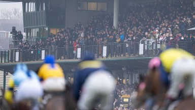 Racegoers pack the stands at Warwick on Saturday but the facilities failed to cope with the size or demands of the crowd