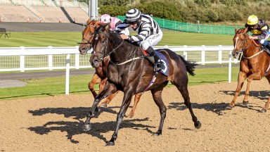 SERENADING (P J McDonald) wins at NEWCASTLE 3/9/20Photograph by Grossick Racing Photography 0771 046 1723